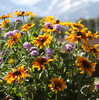 Flowers